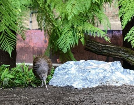 foto: archiv Zoo Zlín