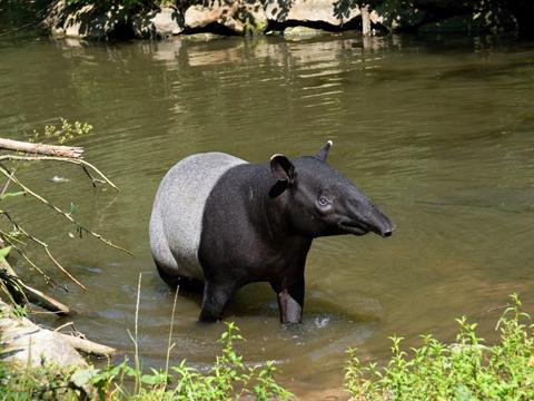 foto: archiv Zoo Zlín