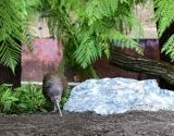 foto: archiv Zoo Zlín
