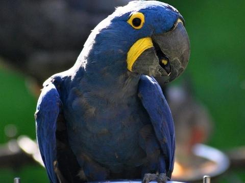 Foto: ZOO a zámek Zlín - Lešná