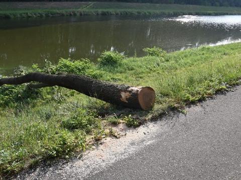 Foto: MěÚ Kroměříž