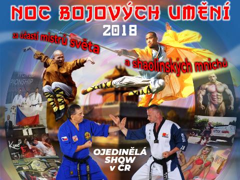 Noc bojových umění (Zdroj: Centrum bojových umění)