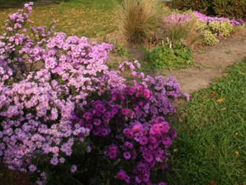 Foto: MěÚ Otrokovice