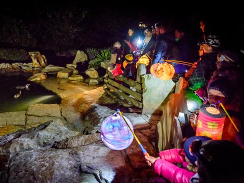 Večerní lampionová prohlídka ZOO Lešná (Foto: archiv ZOO Zlín)