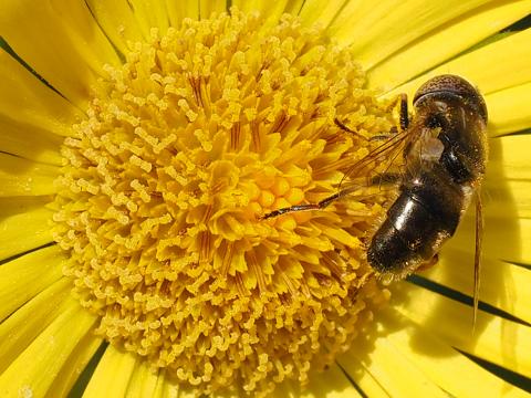 Ilustrační foto (Foto: Fotoguru.cz)