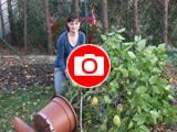 Foto: Zlin.cz
