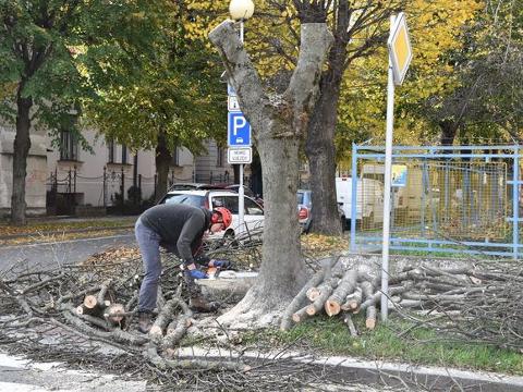 Foto: MěÚ Kroměříž