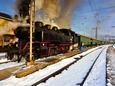Ilustrační foto (Foto: CCRVM)