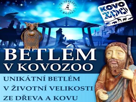 Ilustrační foto (Foto: www.kovozoo.cz)