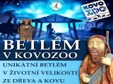 Ilustrační foto (Foto: www.kovozoo.cz)
