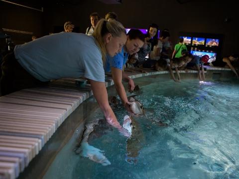 Ilustrační foto (Foto: MěÚ Zlín)