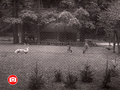 Foto: Starý Zlín a Jiří Wlasák