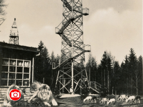 Foto: Starý Zlín a Kateřina Svobodová