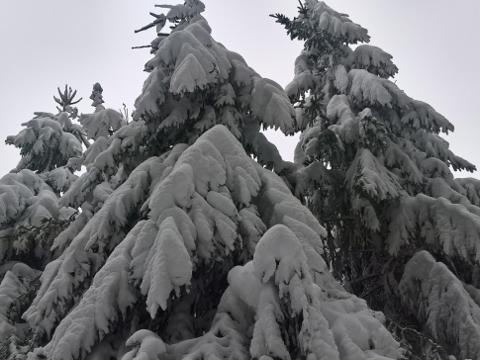 Foto: Jana Pravdová