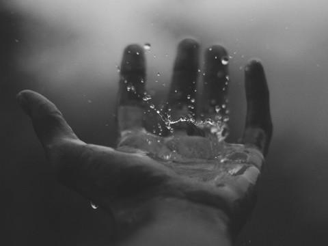 Zdroj: Pixabay.com