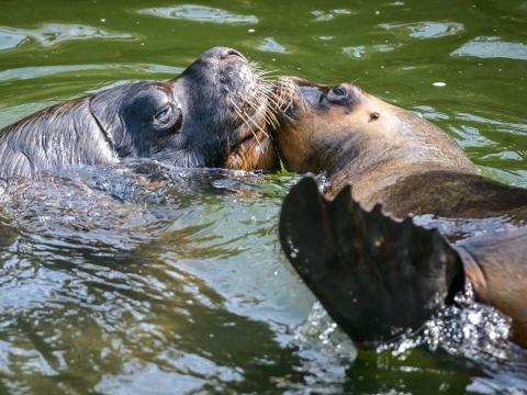 Ilustrační foto (Foto: Archiv ZOO Zlín)