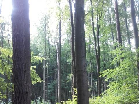 Ilustrační foto (Foto: MěÚ Zlín)