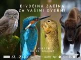 Planeta Česko (Foto: Zlín Film Festival)