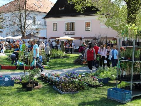 Ilustrační foto (Foto: MěÚ Valašské Klobouky)