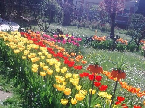 Ilustrační foto (Foto: MěÚ Zlín)