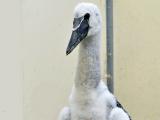 Foto: Archiv ZOO Zlín
