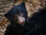 Foto: Archiv ZOO Zlín