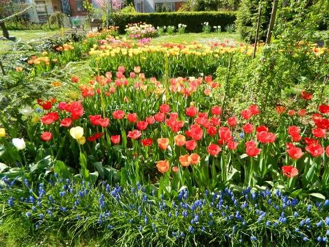 Ilustrační foto (Foto: MěÚ Zlín)