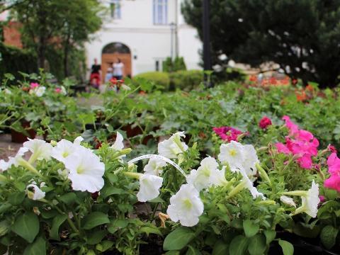 Ilustrační foto (Foto: MěÚ Valašské Klobouky)
