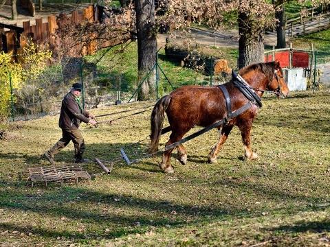 Foto: Archiv ZOO Zlín