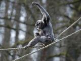 Foto: Archiv ZOO Zlín
