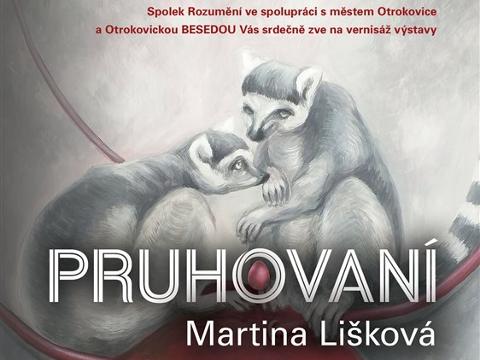 Ilustrační foto (Foto: MěÚ Otrokovice)