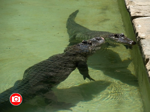 Foto: Archiv ZOO Zlín