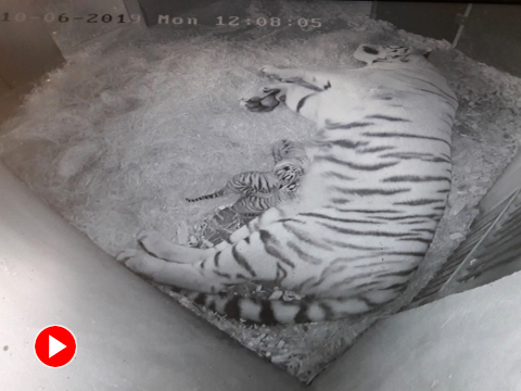Foto: Archiv ZOO Zlín