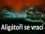 Foto: Archiv ZOO Zlín