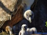 Foto: Archiv ZOO Zlín