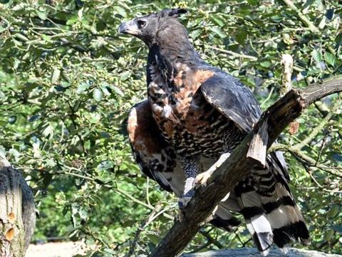 foto: Archiv Zoo Zlín