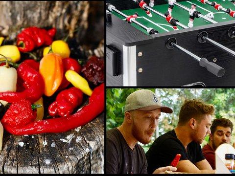 Zdroj: Archiv Piknik festival