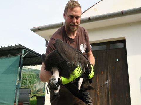 foto: Archiv Zoo Zlín