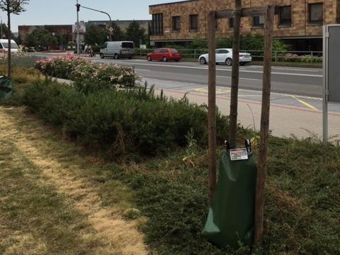 Foto: MěÚ Otrokovice