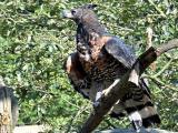 foto: Archiv Zoo Zlín