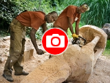 Foto: Archiv ZOO Zlín