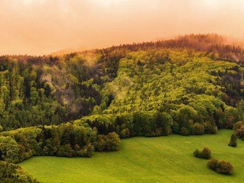 Zdroj: Archiv CCRVM