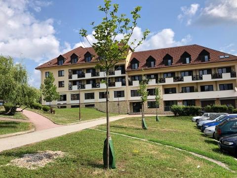 Zavlažovací vaky u stromů pod poliklinikou (Foto: MěÚ Valašské Klobouky)