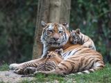 Foto: Archiv ZOO Zlín