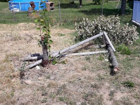 vandalové ničí stromy (Foto: MěÚ Zlín)
