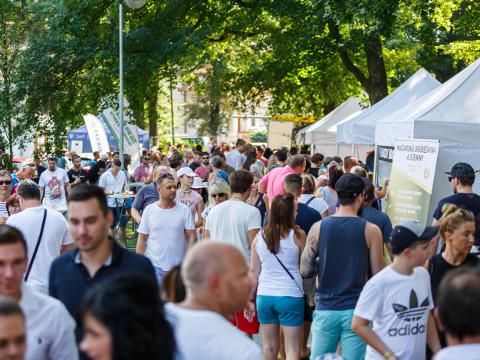Foto: Robert Mročka
