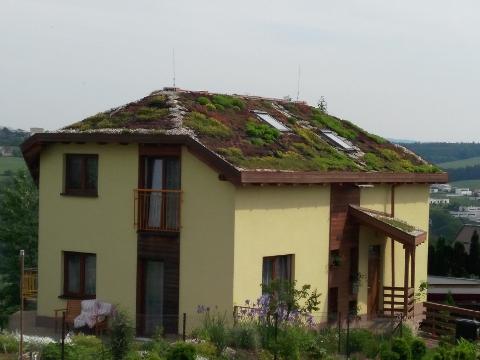 Zvláštní ocenění patří rodině Ingrových - zelená střecha (Foto: MěÚ Zlín)