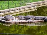 Foto: Archiv ZOO Zlín