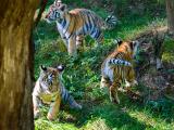 Foto: Archiv ZOO Zlín