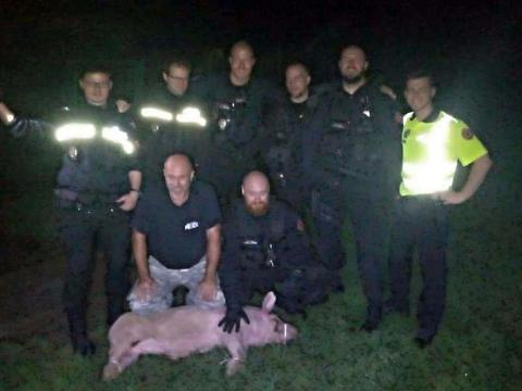 Foto: Městská policie Zlín